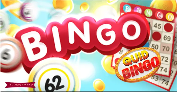 Bingo N1 casino